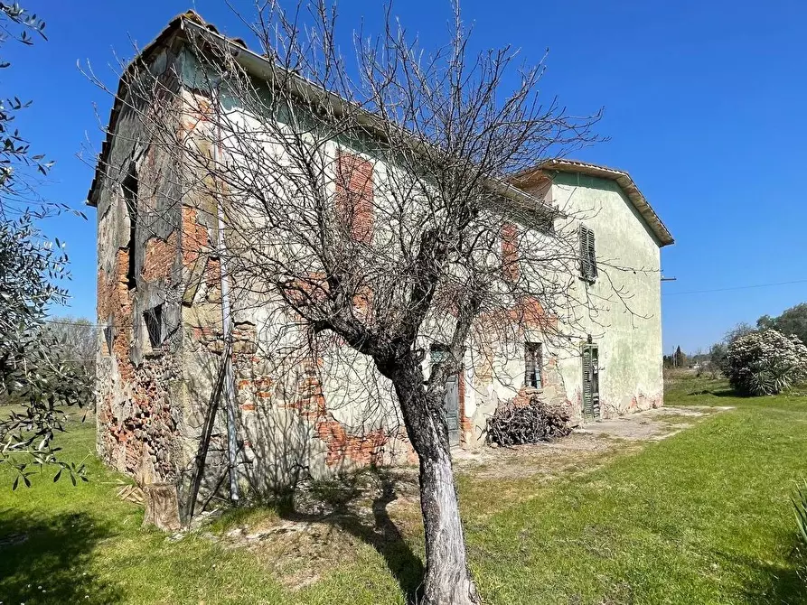 Immagine 19 di Casa colonica in vendita  a Fucecchio