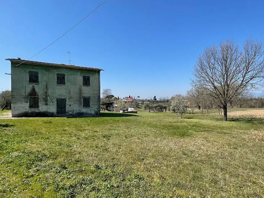 Immagine 8 di Casa colonica in vendita  a Fucecchio