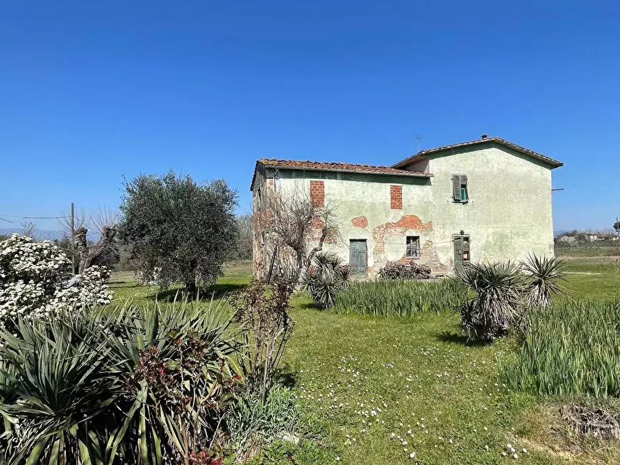 Immagine 2 di Casa colonica in vendita  a Fucecchio