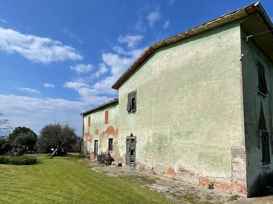 Immagine 6 di Casa colonica in vendita  a Fucecchio
