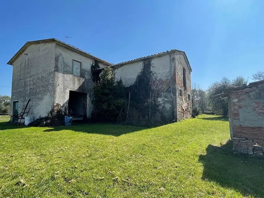 Immagine 13 di Casa colonica in vendita  a Fucecchio