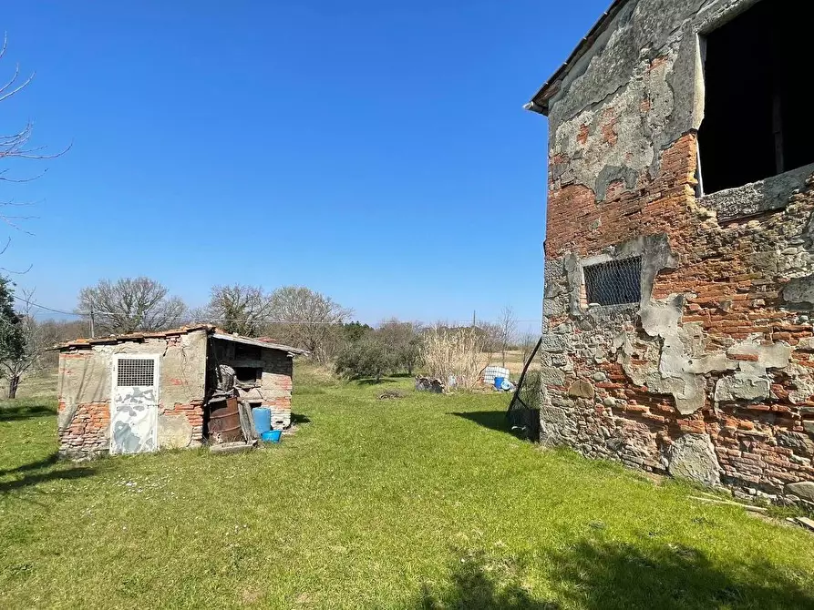 Immagine 17 di Casa colonica in vendita  a Fucecchio