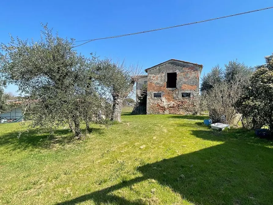 Immagine 15 di Casa colonica in vendita  a Fucecchio
