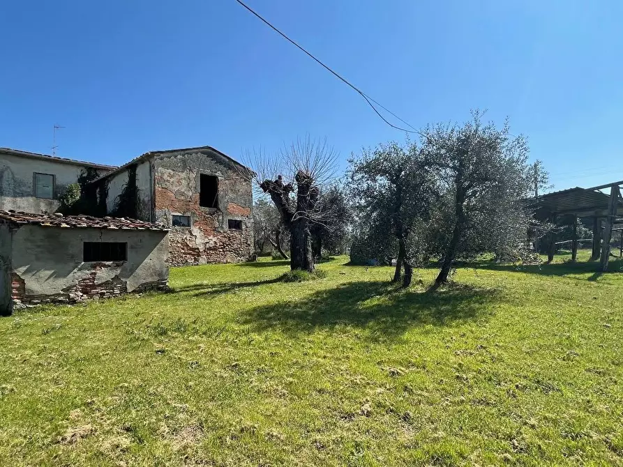 Immagine 14 di Casa colonica in vendita  a Fucecchio