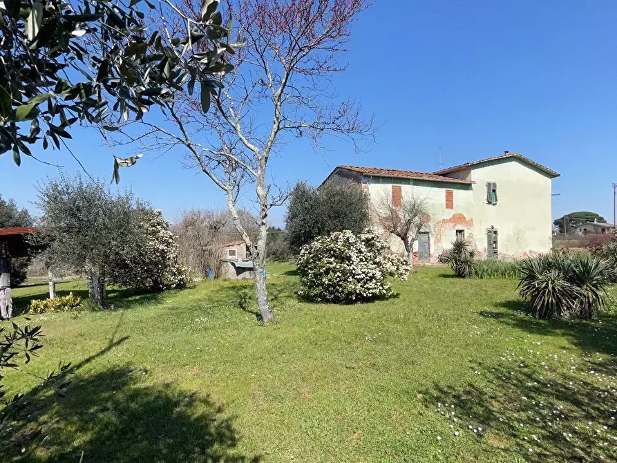 Immagine 1 di Casa colonica in vendita  a Fucecchio