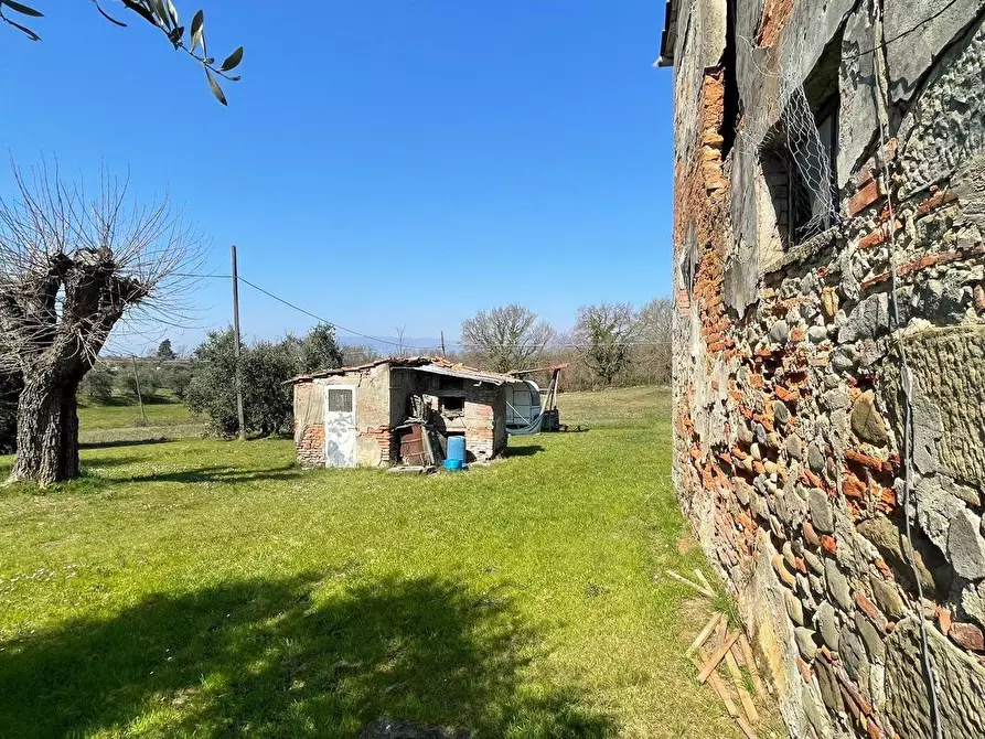 Immagine 18 di Casa colonica in vendita  a Fucecchio