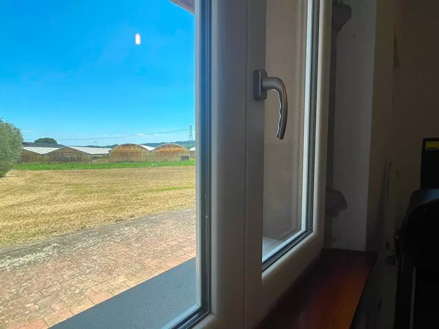 Immagine 10 di Villa in vendita  a Pescia