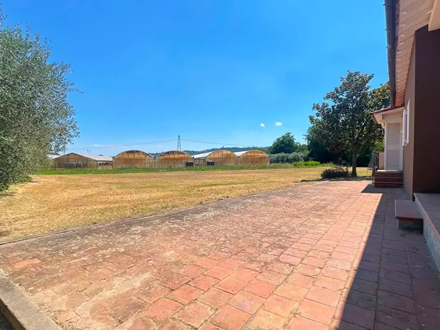 Immagine 3 di Villa in vendita  a Pescia