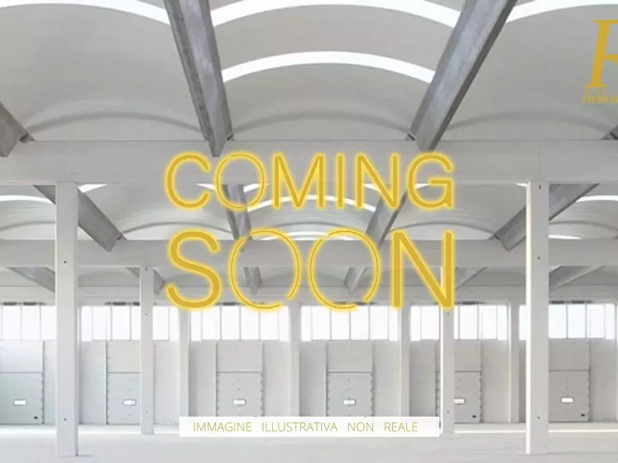 Immagine 4 di Capannone industriale in affitto  a Capannori
