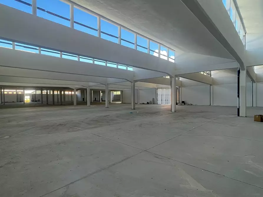 Immagine 3 di Capannone industriale in affitto  a Capannori