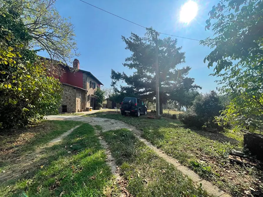 Immagine 3 di Casa colonica in vendita  a Uzzano