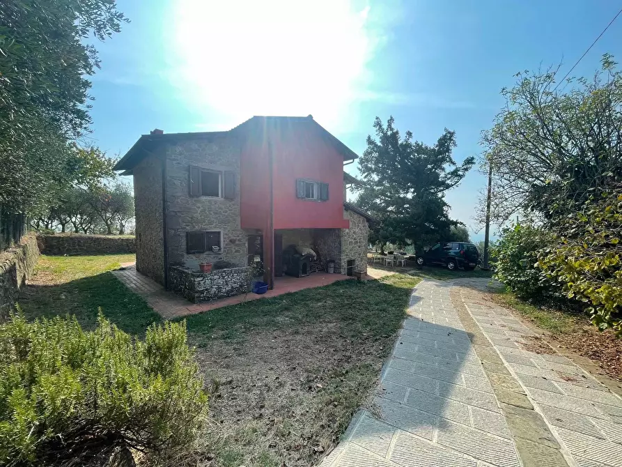 Immagine 8 di Casa colonica in vendita  a Uzzano