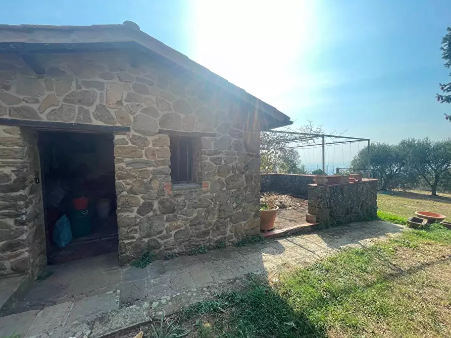 Immagine 35 di Casa colonica in vendita  a Uzzano