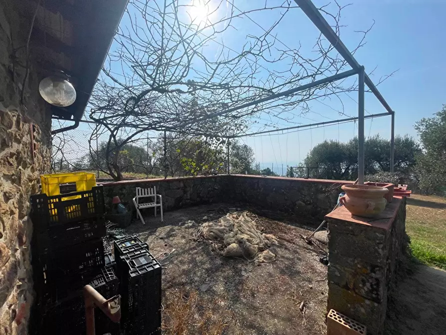 Immagine 36 di Casa colonica in vendita  a Uzzano