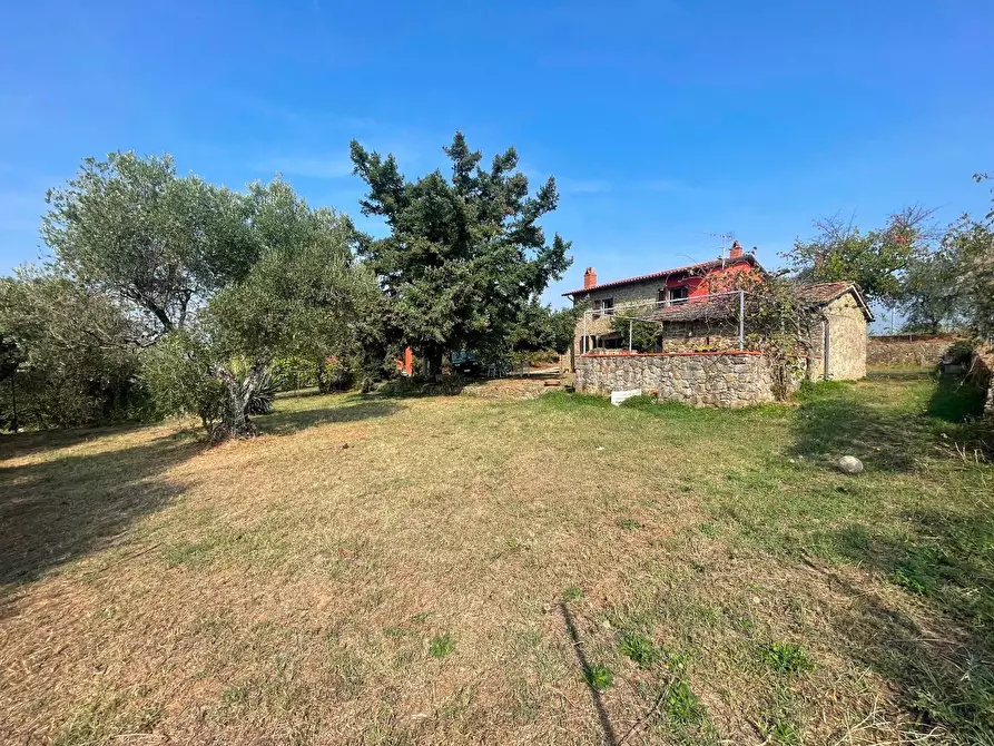 Immagine 7 di Casa colonica in vendita  a Uzzano