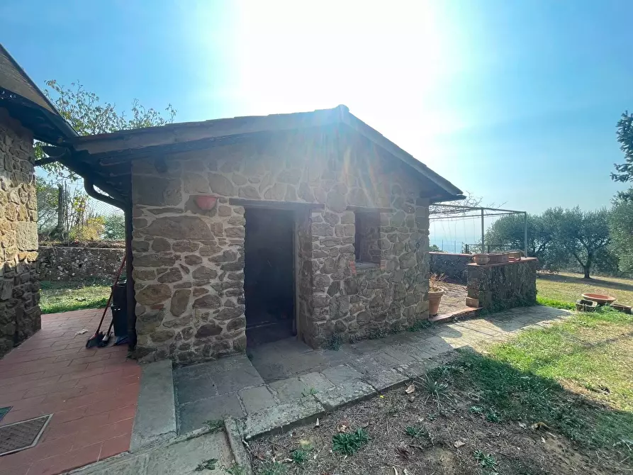 Immagine 33 di Casa colonica in vendita  a Uzzano