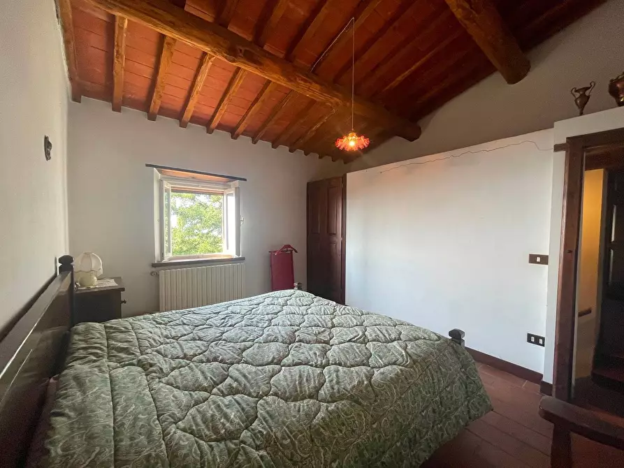 Immagine 24 di Casa colonica in vendita  a Uzzano