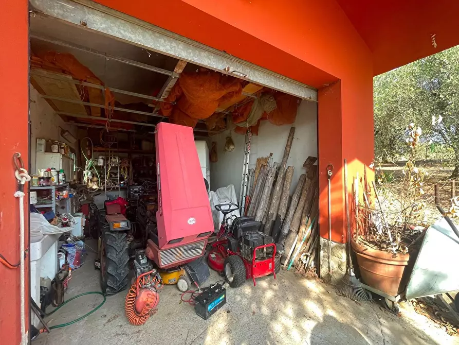 Immagine 41 di Casa colonica in vendita  a Uzzano