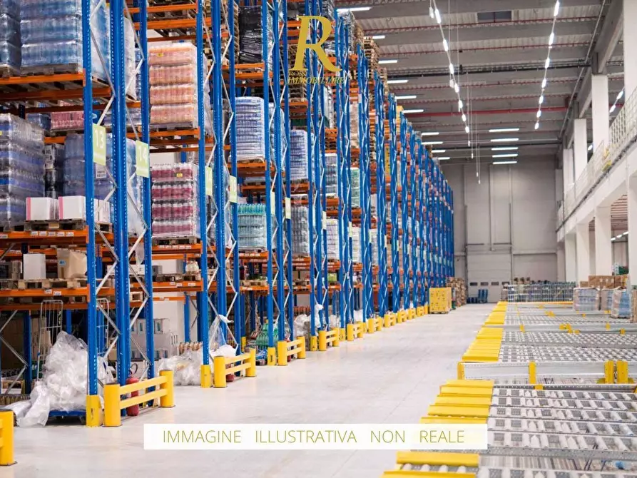 Immagine 3 di Capannone industriale in vendita  a Buti