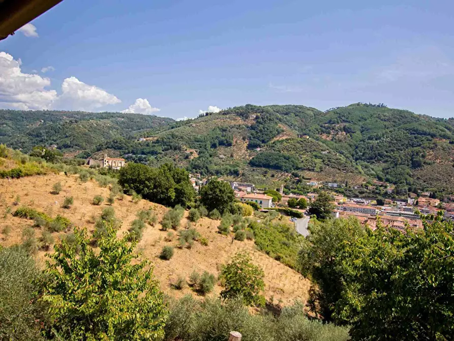 Immagine 17 di Casa colonica in vendita  a Pescia