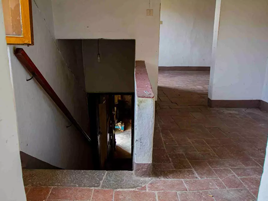 Immagine 20 di Casa colonica in vendita  a Pescia