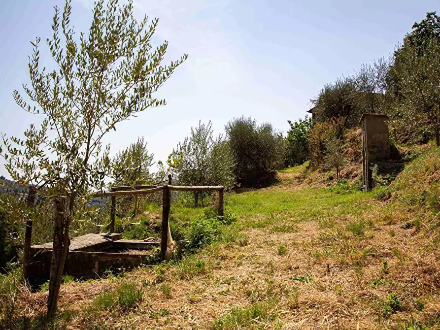 Immagine 26 di Casa colonica in vendita  a Pescia