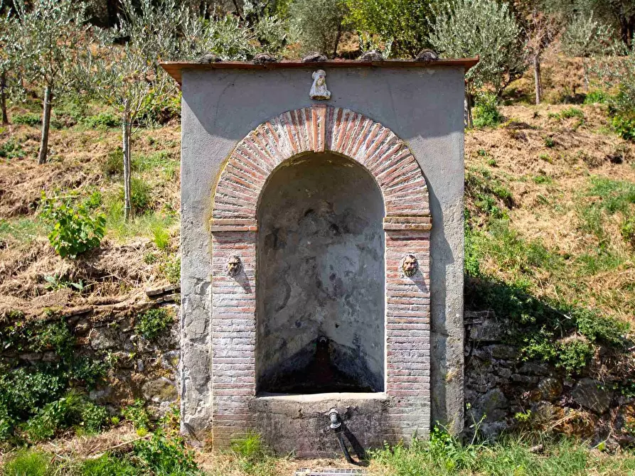 Immagine 25 di Casa colonica in vendita  a Pescia