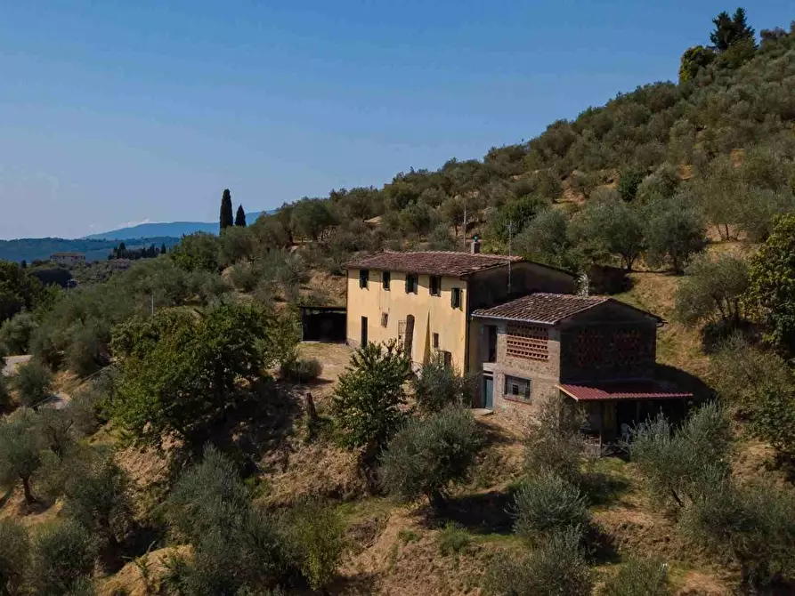 Immagine 6 di Casa colonica in vendita  a Pescia