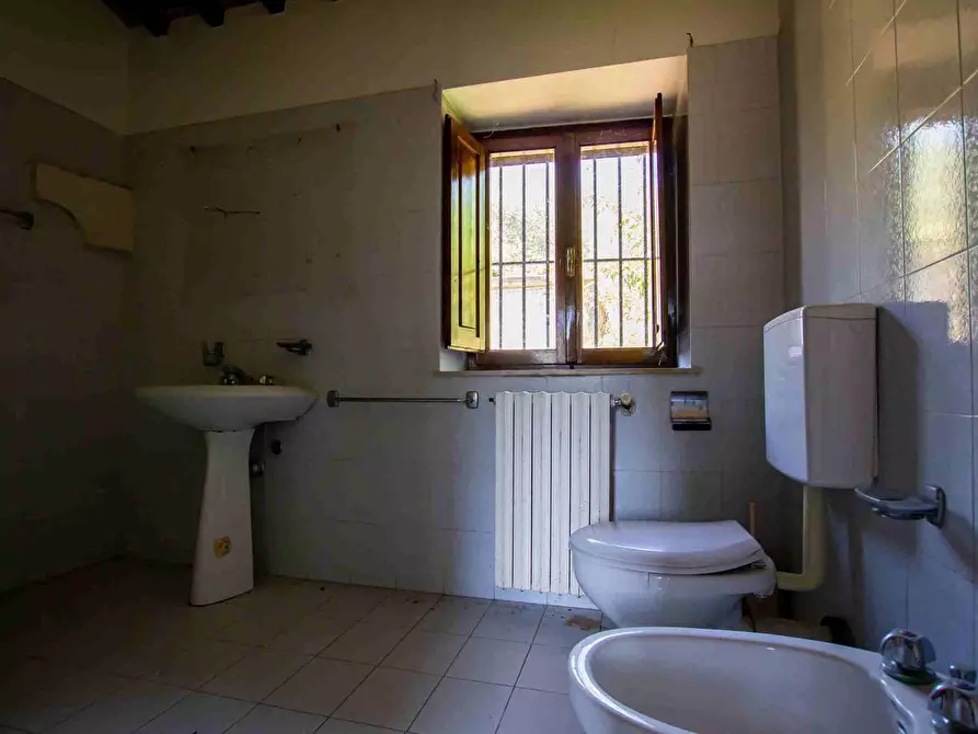 Immagine 22 di Casa colonica in vendita  a Pescia
