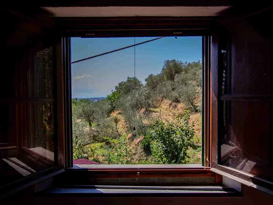 Immagine 15 di Casa colonica in vendita  a Pescia