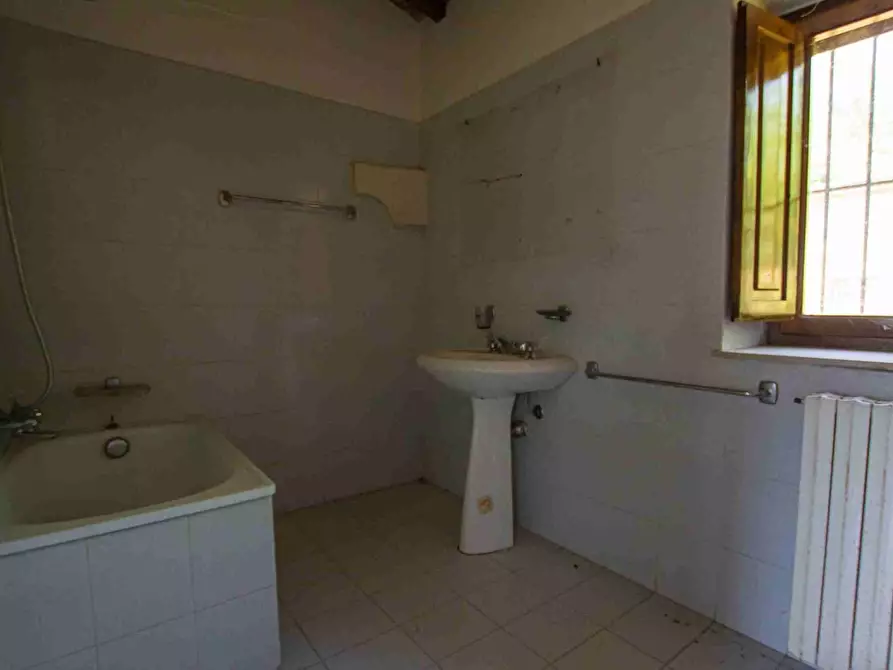 Immagine 23 di Casa colonica in vendita  a Pescia
