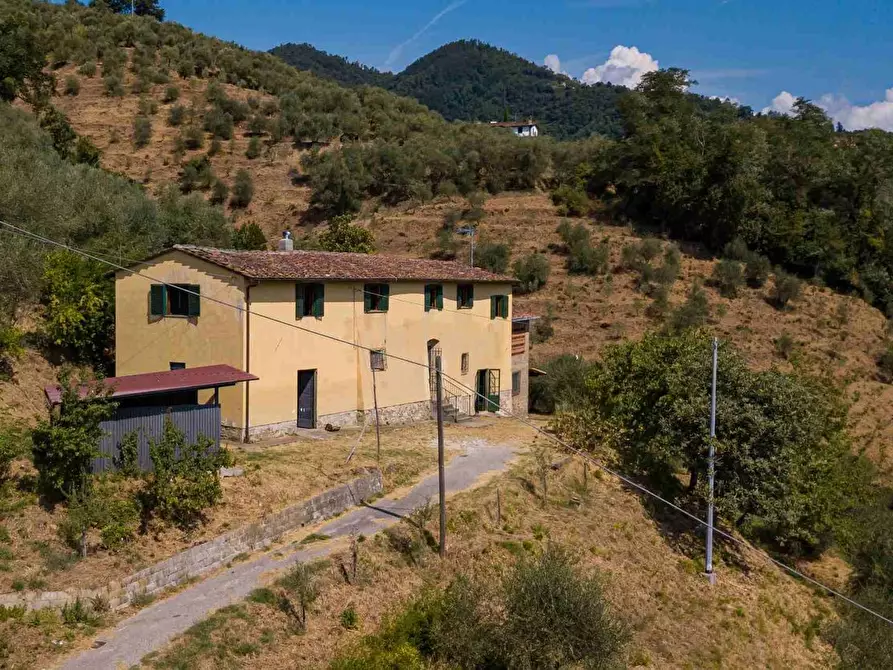Immagine 5 di Casa colonica in vendita  a Pescia