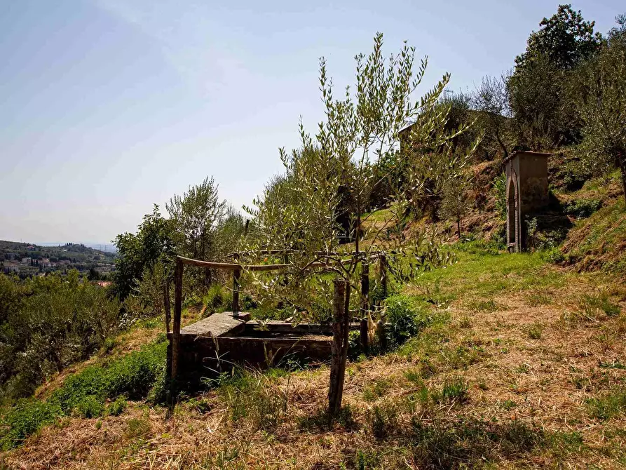 Immagine 27 di Casa colonica in vendita  a Pescia