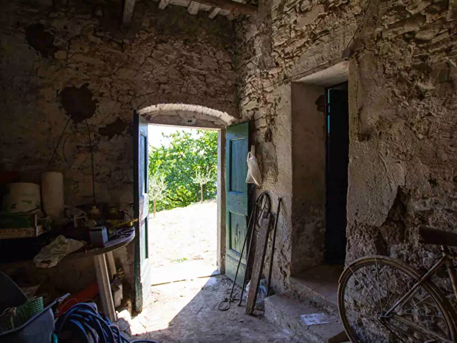 Immagine 11 di Casa colonica in vendita  a Pescia