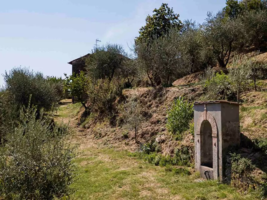 Immagine 7 di Casa colonica in vendita  a Pescia