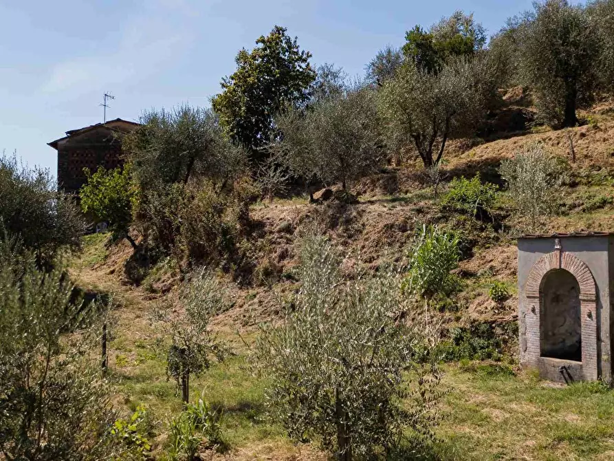 Immagine 8 di Casa colonica in vendita  a Pescia