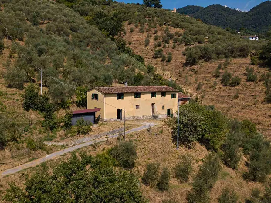 Immagine 2 di Casa colonica in vendita  a Pescia