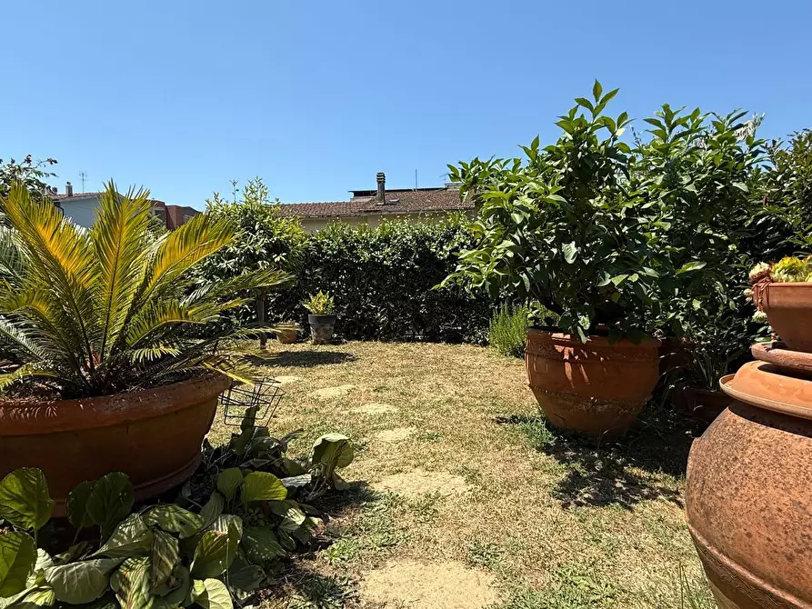 Immagine 6 di Villetta a schiera in vendita  a Pescia