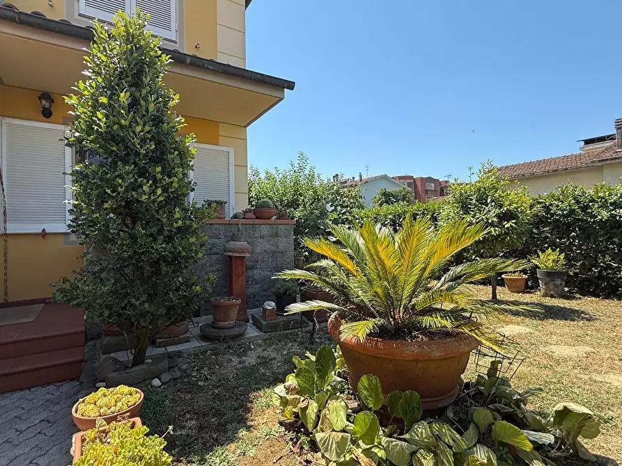 Immagine 5 di Villetta a schiera in vendita  a Pescia