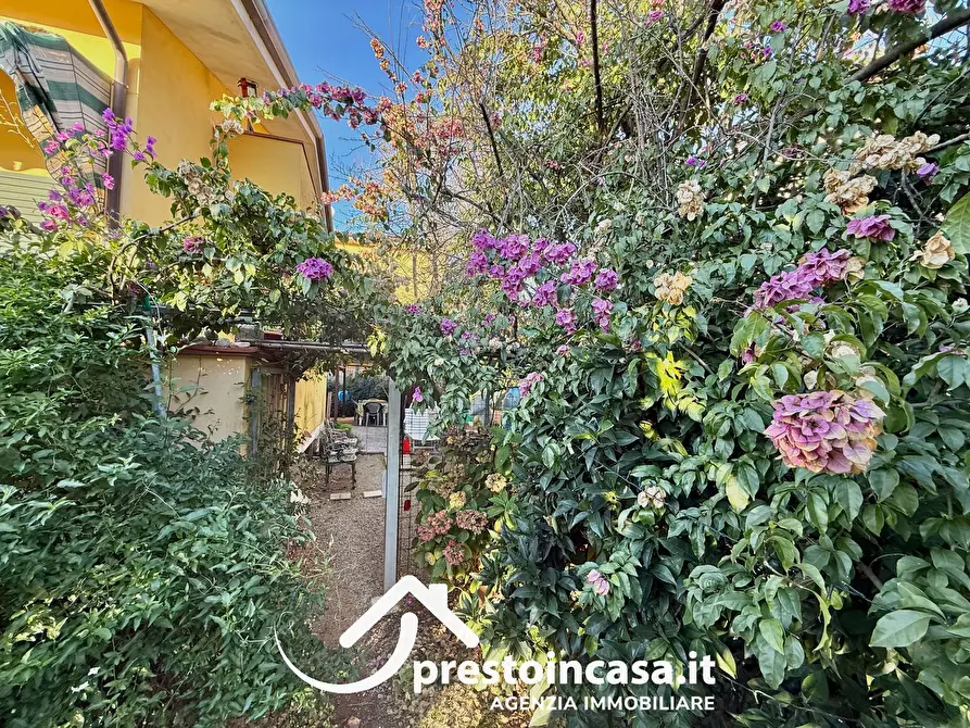 Immagine 42 di Villetta a schiera in vendita  a Massarosa