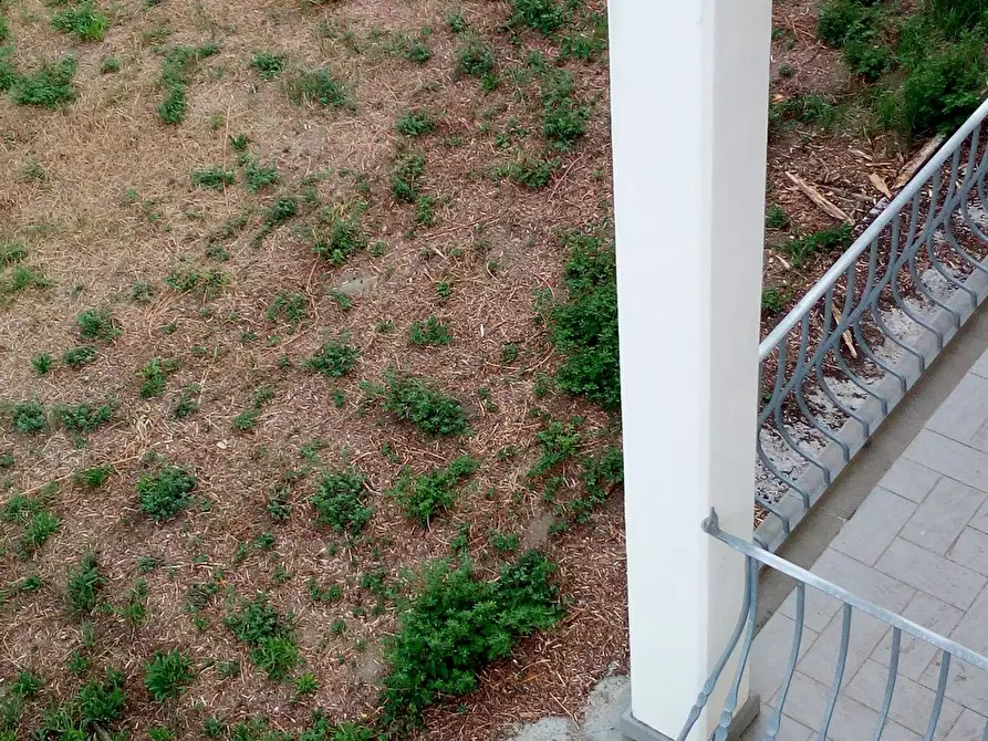 Immagine 18 di Casa semindipendente in vendita  a Camaiore