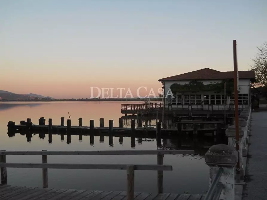 Immagine 26 di Villa in vendita  a Pietrasanta