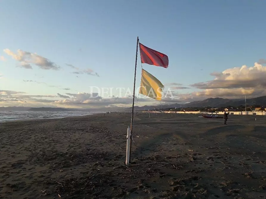 Immagine 9 di Villa in vendita  a Pietrasanta