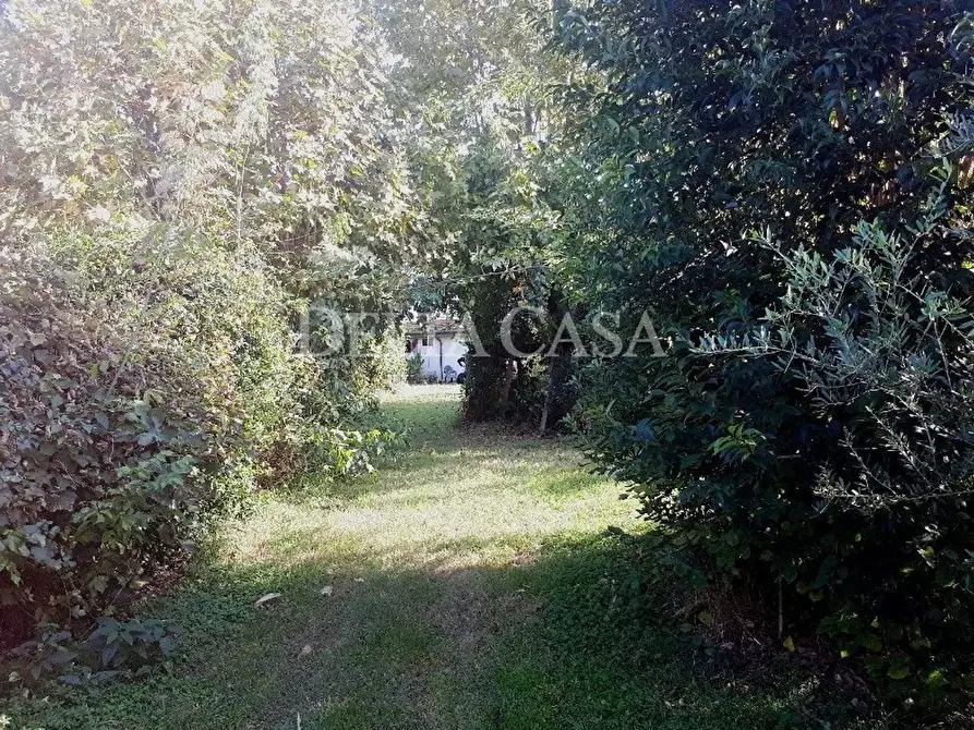 Immagine 3 di Villa in vendita  a Pietrasanta