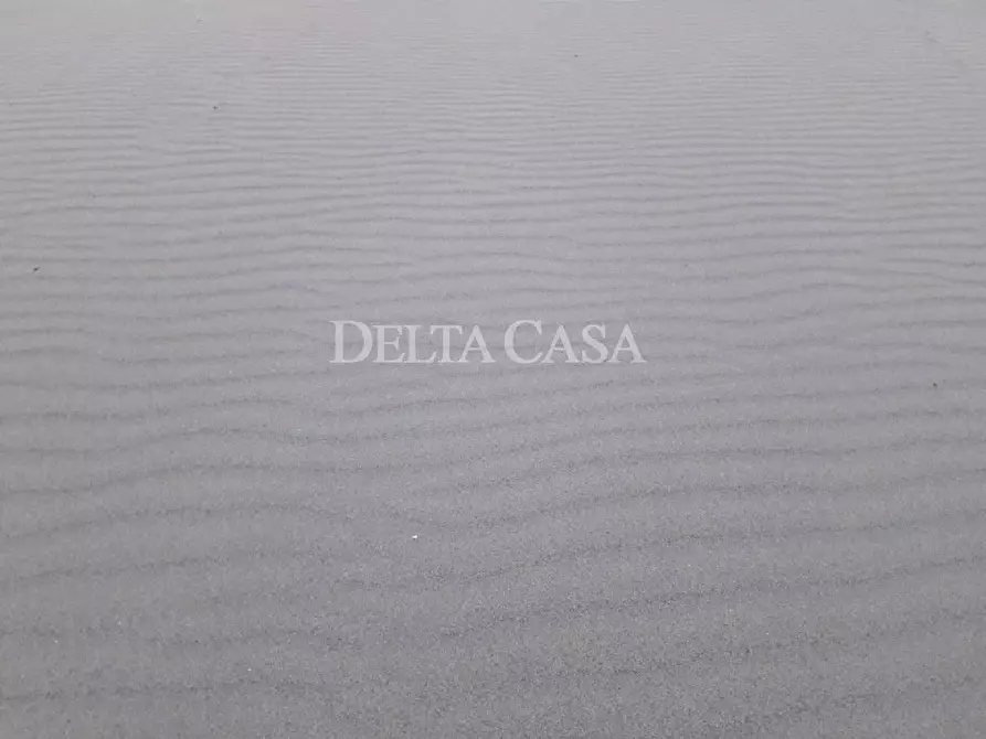 Immagine 6 di Villa in vendita  a Pietrasanta