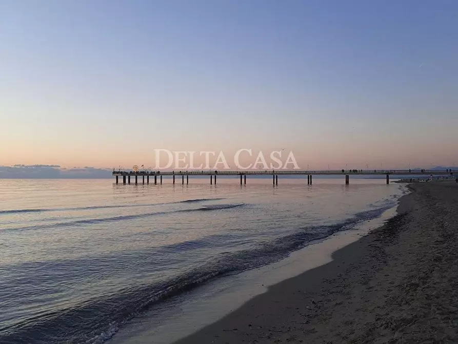 Immagine 14 di Villa in vendita  a Pietrasanta