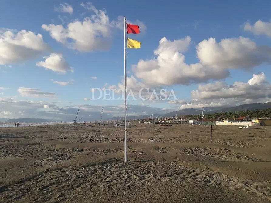 Immagine 8 di Villa in vendita  a Pietrasanta