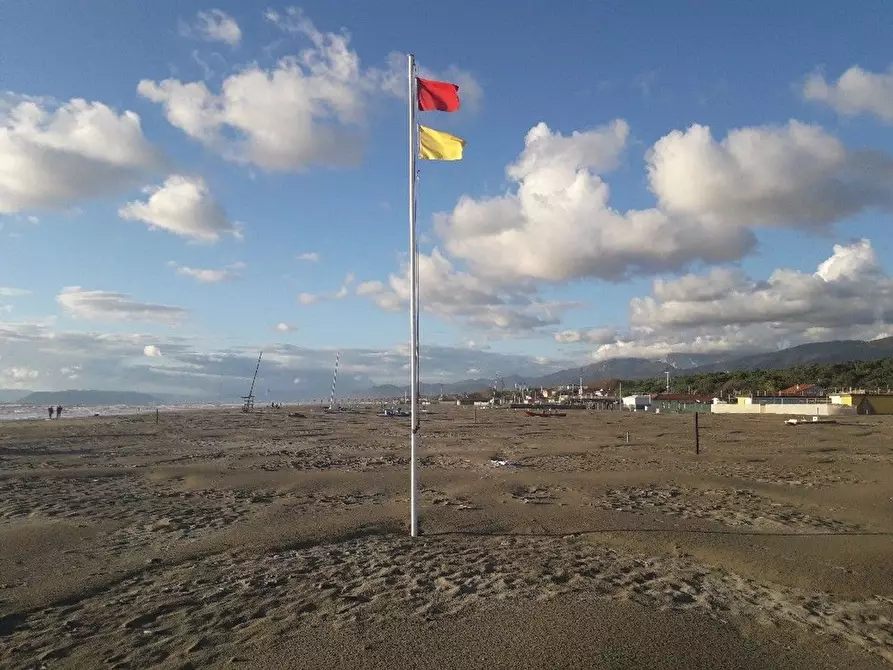 Immagine 14 di Villa in vendita  a Camaiore