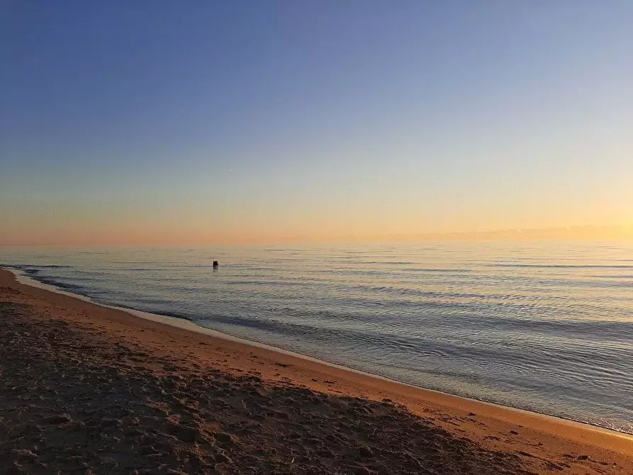 Immagine 16 di Villa in vendita  a Camaiore