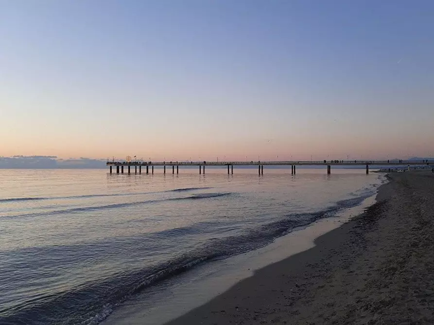 Immagine 17 di Villa in vendita  a Camaiore